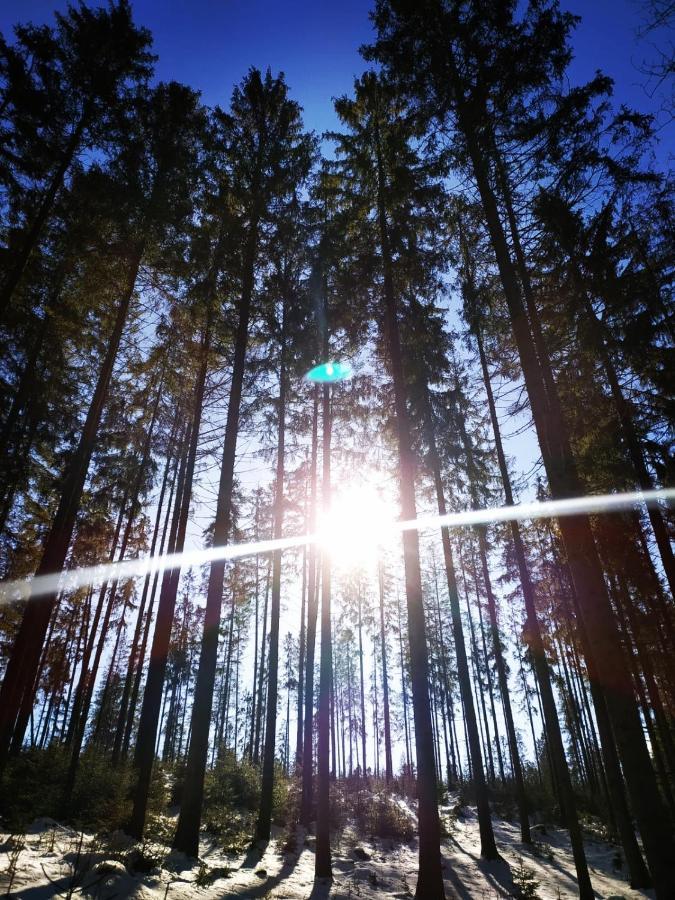 Gierkowka - Gorska Rezydencja Pierwszego Sekretarza Zwardoń المظهر الخارجي الصورة