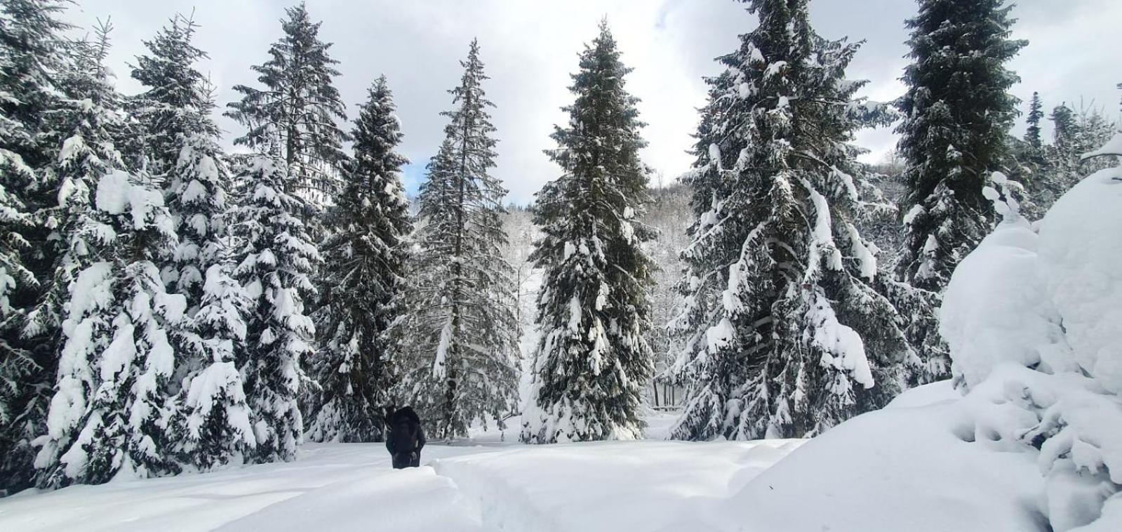 Gierkowka - Gorska Rezydencja Pierwszego Sekretarza Zwardoń المظهر الخارجي الصورة